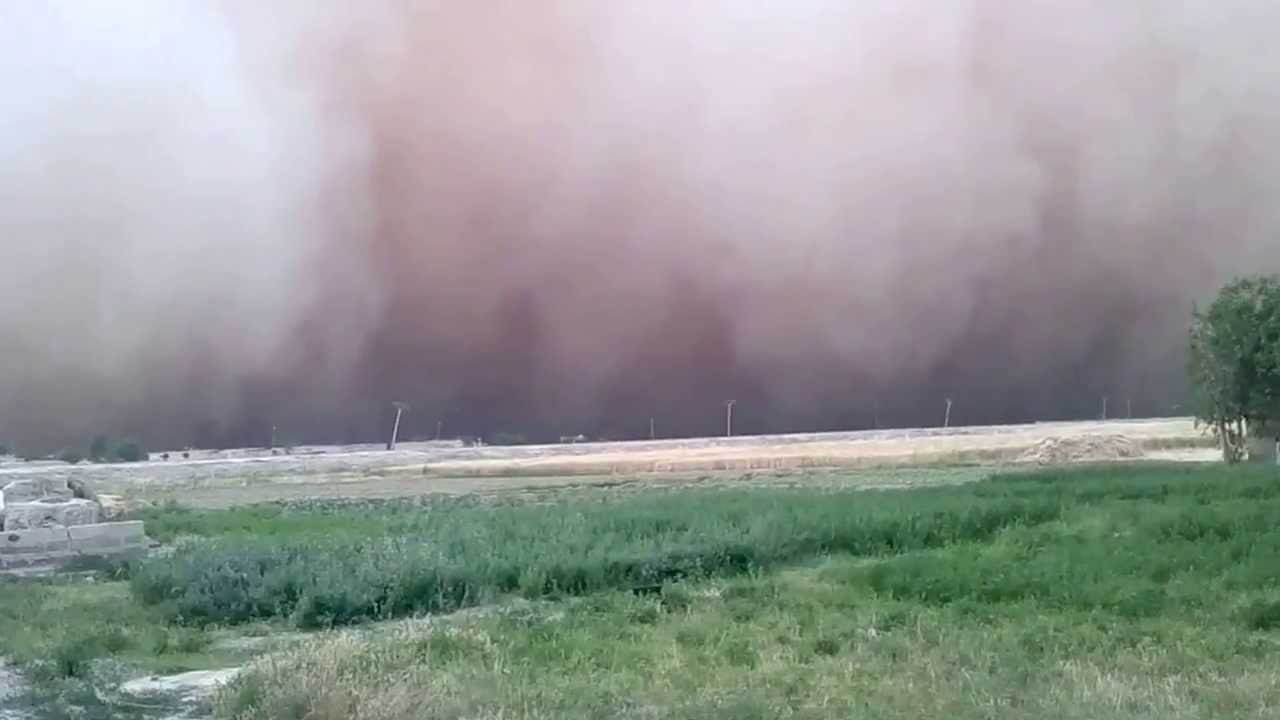 العواصف الغبارية تتسبب بخسائر لمزارعي دير الزور والرقة
